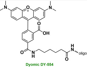 Bio-Synthesis Inc. Oligo Structure